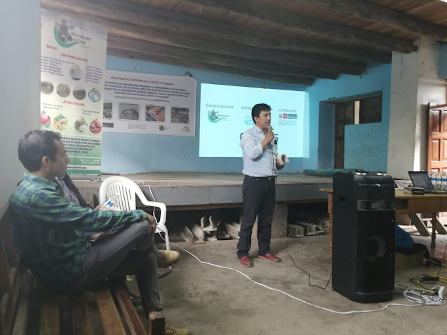 Kulky Restaurant - Cevichería