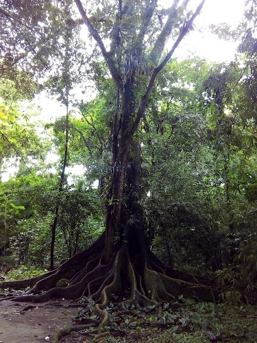 Opinii despre El Bunker de los Coz în Tingo María - Gastronomía y hostelería