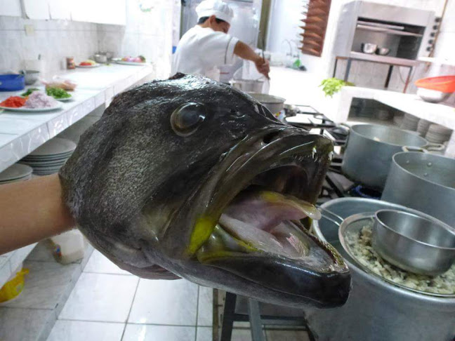 Comentarii opinii despre Los Portones Verdes