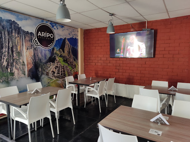 ARIPO RESTOBAR - Ica