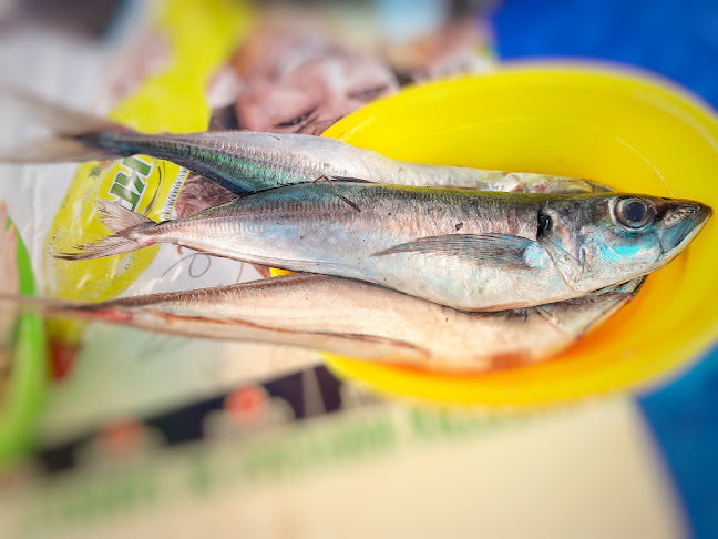 13002, La Esperanza 13002