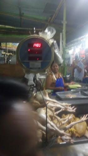 Terminal Pesquero Piura - Piura