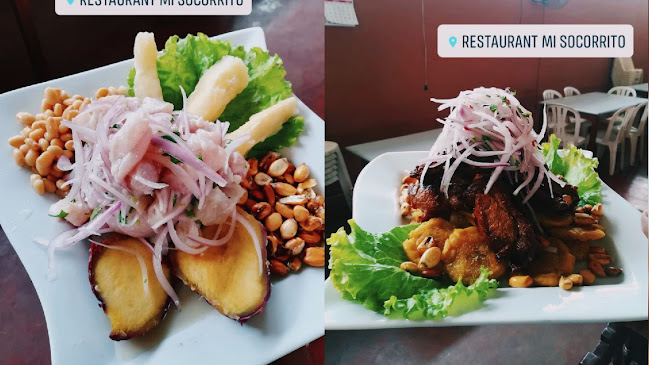 Restaurant Mi Socorrito