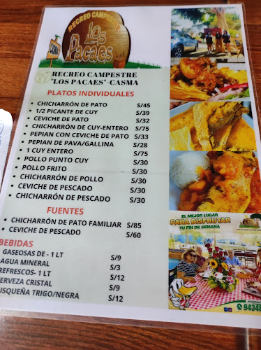 Recreo Campestre Los Pacaes - Casma