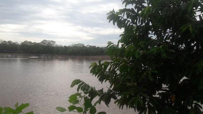 Restaurante & Pollos a la Brasa Chilin's - Gastronomía y hostelería