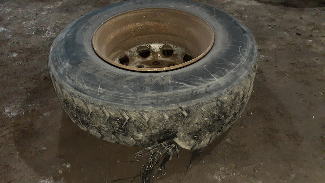 Opinii despre Llanteria y Restaurant "Leyva" în Paramonga - Gastronomía y hostelería