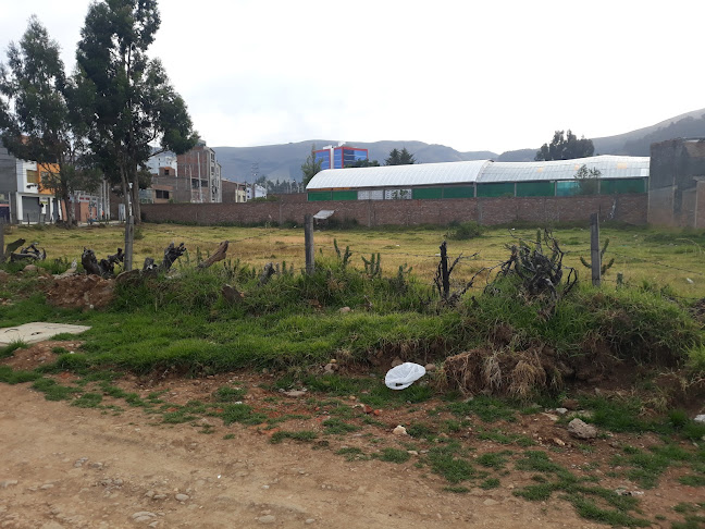 Opinii despre BAMBÚ în Huancavelica - Gastronomía y hostelería