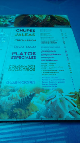 Cevicheria Don Limón Huánuco - Huánuco