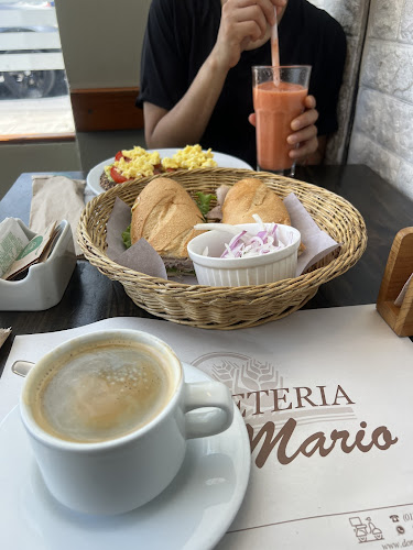 Baguetería Don Mario - Gastronomía y hostelería