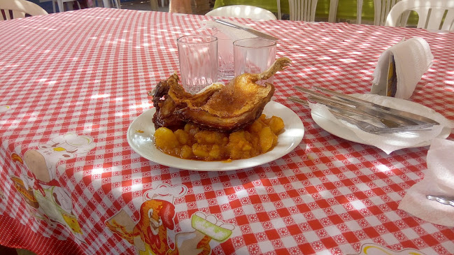 Comentarii opinii despre Recreo Campestre Los Pacaes