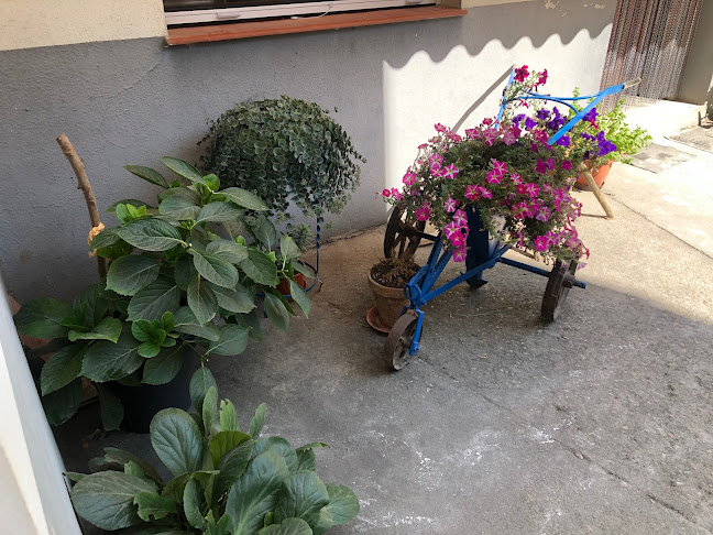 C. San Martín, 6, 49624 Aguilar de Tera, Zamora, España