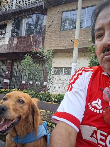 La Esquina De La Alameda - Gastronomía y hostelería