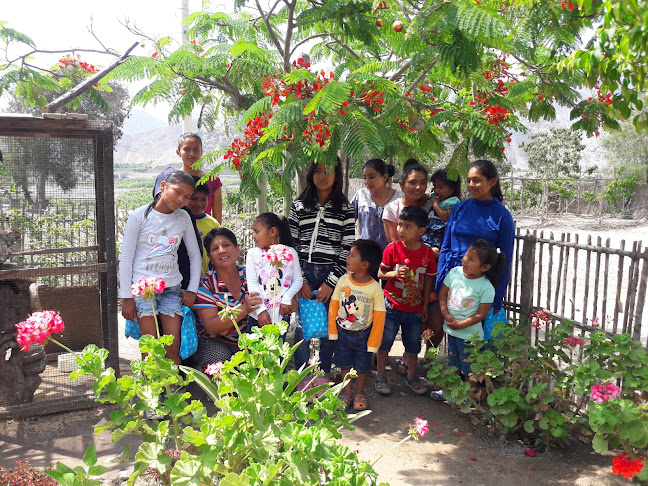 Ramadilla - Lunahuaná