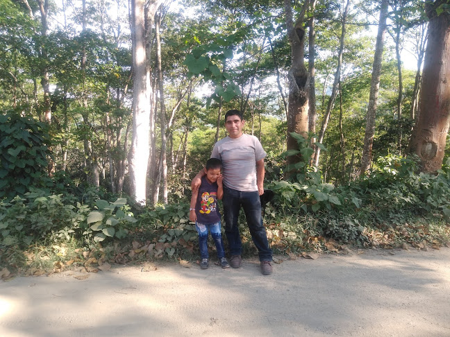 Opinii despre Recreo Camprestre LOS COCOS în San Ignacio - Gastronomía y hostelería