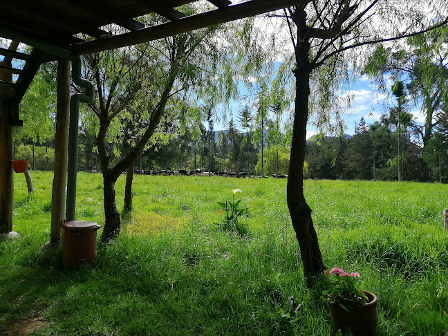 Comentarii opinii despre D'Marié Posada Restaurant