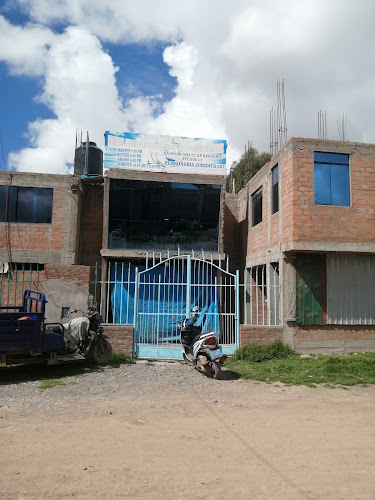 Jr Palmeras - Juliaca