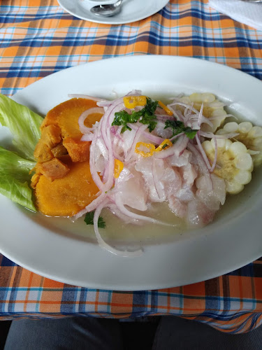 Auxiliar Panamericana Norte 455, Chancay 15131