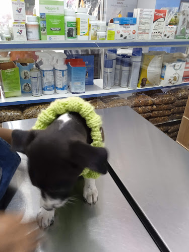 MERCADO CENTRAL DE FERREÑAFE - Ferreñafe