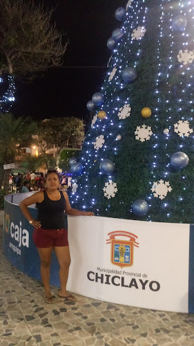 Avenida Ramon Vargas Machuca, 421 San Juan de Miraflores, Distrito de Lima 15801, Perú