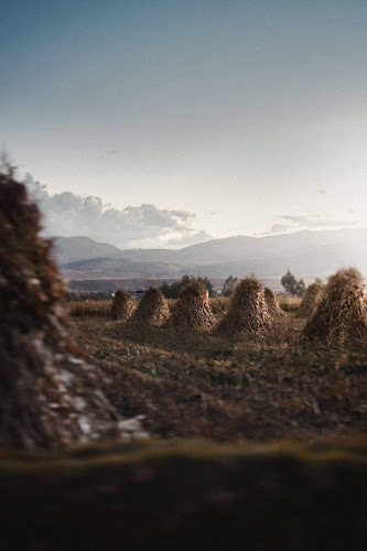 Opinii despre Cervecería Artesanal La Incontrastable în Hualhuas - Gastronomía y hostelería