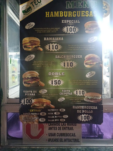 Teo Burger