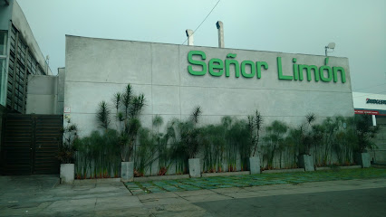 Señor Limón
