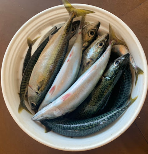 Comentarii opinii despre RICO CHIMBOTE