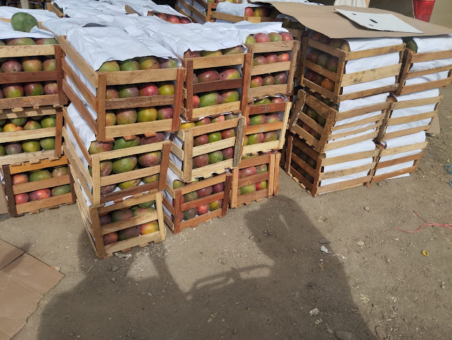 Comentarii opinii despre Campo Ferial Ilo