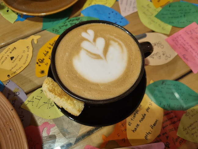 Jr. Tarapacá 629, Pucallpa 25001