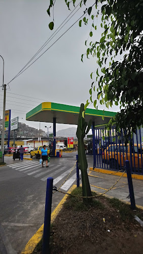 Comentarii opinii despre FRUVERNEW - VENTA DE FRUTAS Y VERDURAS LIMA PERU - DISTRIBUCIÓN DE FRUTAS Y VERDURAS LIMA PERU