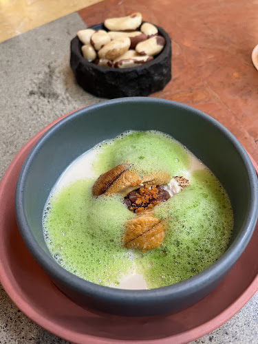 Comentarii opinii despre Kjolle