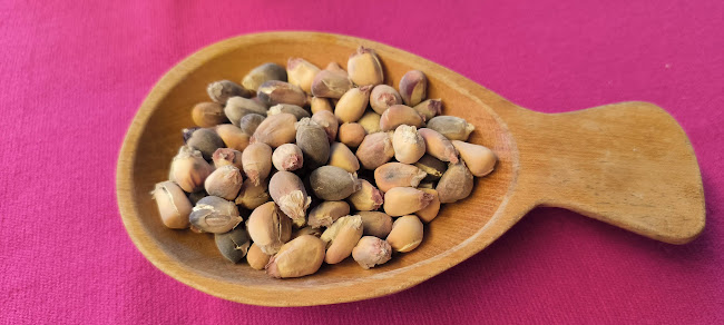 Av. Maria Delgado de Odria 321, Muruhuay