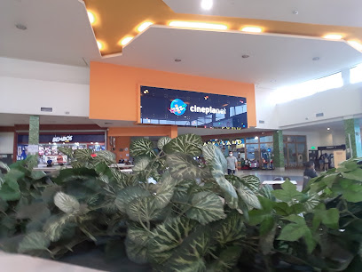 Huayruro's Pisco - Bar