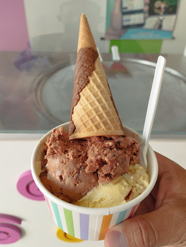 Heladeria Artesanal Wonkis