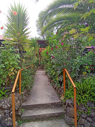 Comentarii opinii despre Restaurante El Ingenio