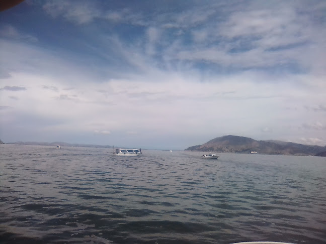 Comentarii opinii despre Polleria El Rico Riko