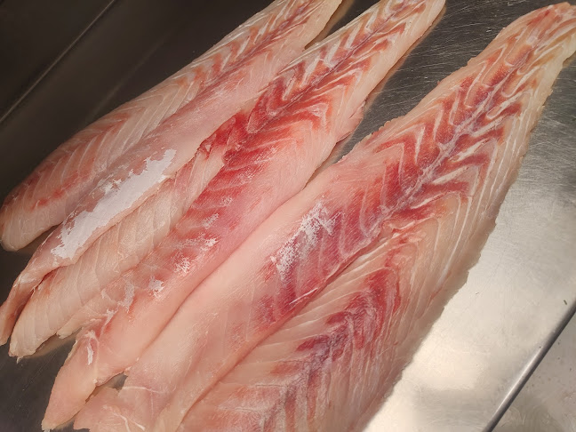 Terminal Pesquero VMT - Gastronomía y hostelería