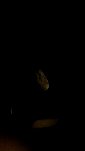 Opinii despre TERRAZZA DE PERCY în Sullana - Gastronomía y hostelería