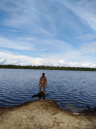 Panaderia Y Pasteleria Ave Ma