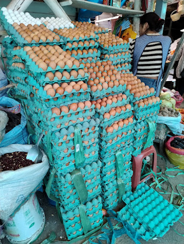 Mercado Vinocanchon - Gastronomía y hostelería