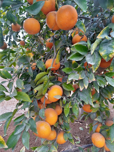 Restaurant Señor De Muruhuay - Pisco