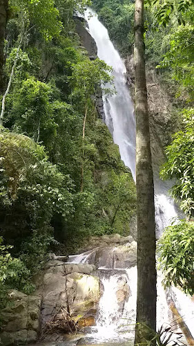 Makaos - Pizzas Artesanales - Gastronomía y hostelería