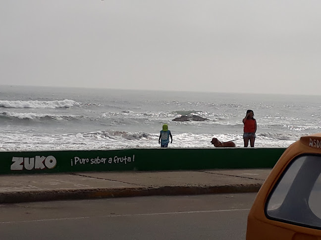 Barra marea - Gastronomía y hostelería
