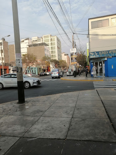 Jirón José Pezet y Monel 2016, Lince 15073, Perú