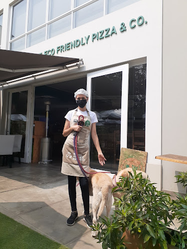 Comentarii opinii despre The Eco Friendly Pizza CO