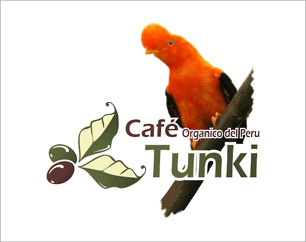 Jr. Lima 394, Puno 21001