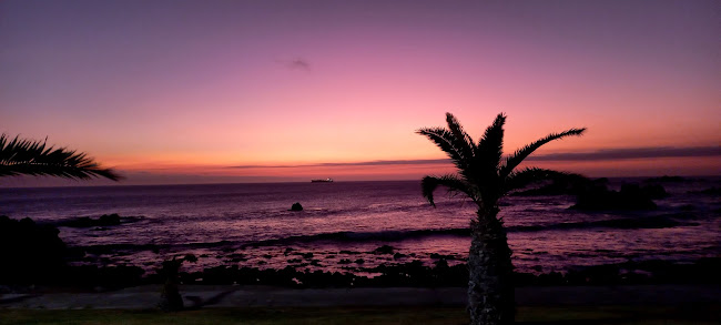 La Carnicería VIP - Gastronomía y hostelería