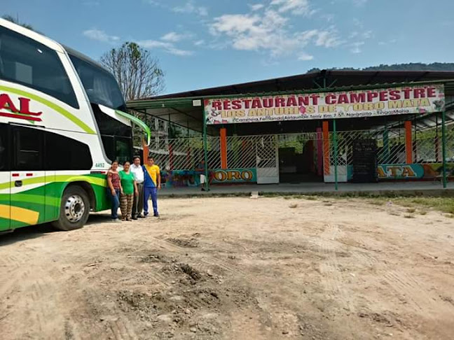 Comentarii opinii despre TORO MATA