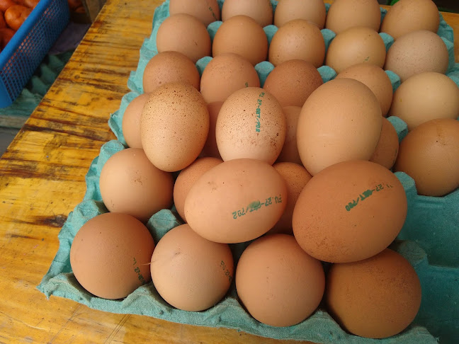 Panadería Santa Elena