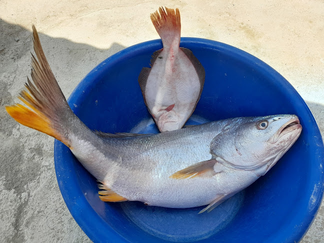 + 340 m, Au. Panamericana N km 250, Gramadal 02650